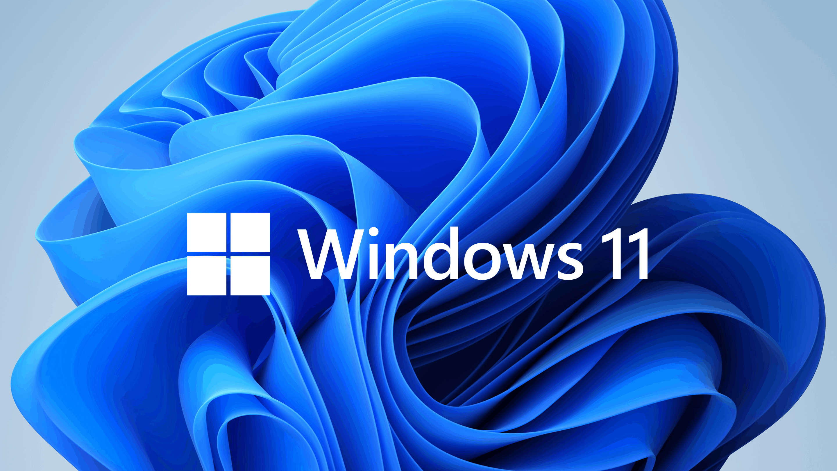 Migration vers Windows 11